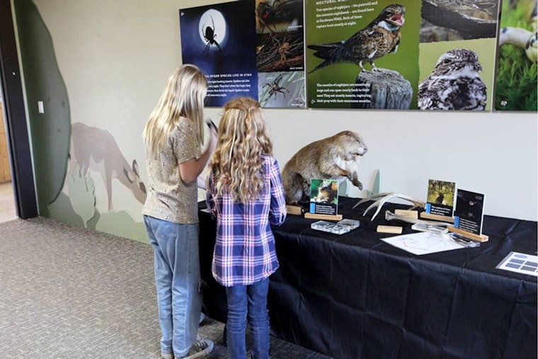Free "Night Life" Exhibit at Hardware Wildlife Education Center Illuminates Utah's Nocturnal Creatures This October