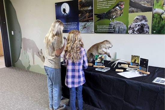 Free "Night Life" Exhibit at Hardware Wildlife Education Center Illuminates Utah's Nocturnal Creatures This October