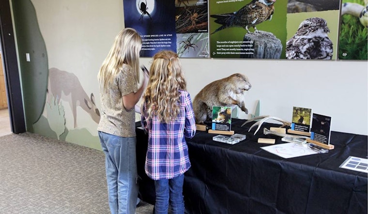 Free "Night Life" Exhibit at Hardware Wildlife Education Center Illuminates Utah's Nocturnal Creatures This October