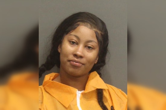 Gallatin Woman Charged with Reckless Endangerment for Firing at Davidson County Sheriff's Office