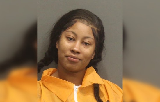 Gallatin Woman Charged with Reckless Endangerment for Firing at Davidson County Sheriff's Office