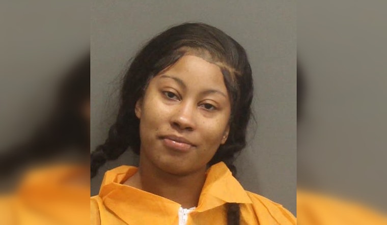 Gallatin Woman Charged with Reckless Endangerment for Firing at Davidson County Sheriff's Office
