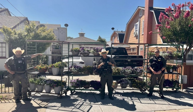 Gilroy Nursery Hit by Thieves in Calibrachoa Plant Heist, Partial Recovery Thanks to Alert Citizen