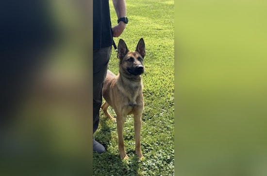 Glendale Police Celebrate Success with $23,000 Raised for K-9 Unit at Annual Golf Outing