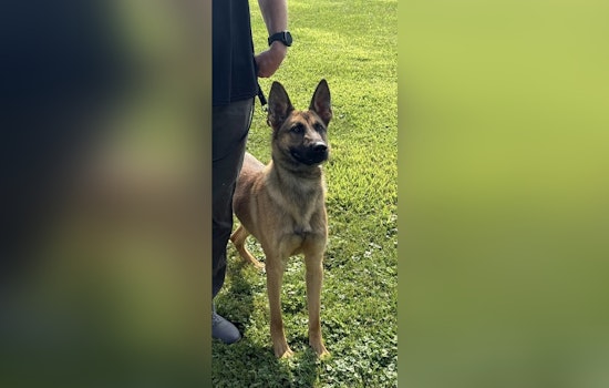 Glendale Police Celebrate Success with $23,000 Raised for K-9 Unit at Annual Golf Outing