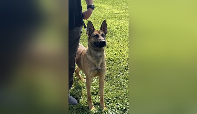 Glendale Police Celebrate Success with $23,000 Raised for K-9 Unit at Annual Golf Outing