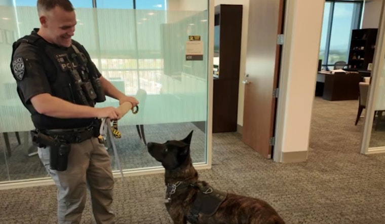 Goodyear Police Department's K9 Unit Thrives, Strengthening Law Enforcement and Community Bonds