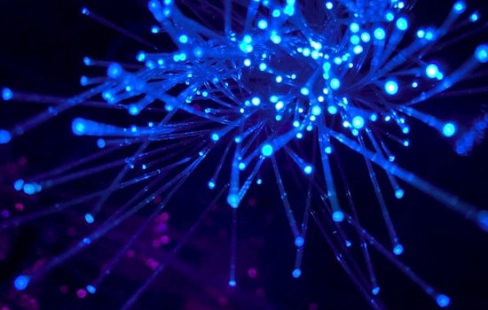 Governor Hochul Announces $636 Million Universal Broadband Expansion in New York State