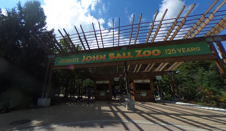 Grand Rapids Celebrates as John Ball Zoo Welcomes First-Ever Pygmy Hippo Birth Amid Conservation Efforts