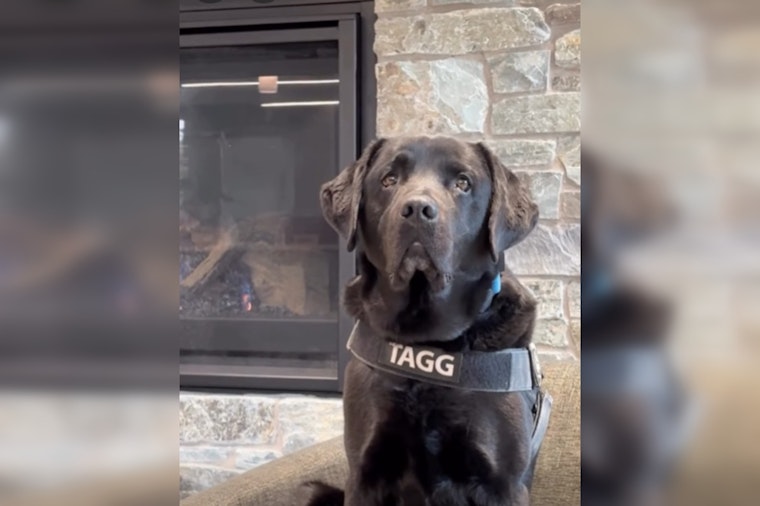 Gresham Gears Up for 4th Annual Tagg's Dog Days of Summer to Support Local K-9 Unit and Community Charities