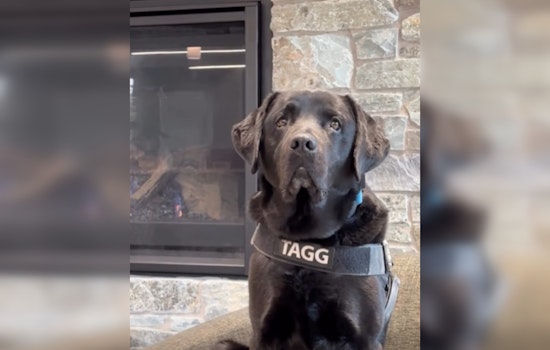 Gresham Gears Up for 4th Annual Tagg's Dog Days of Summer to Support Local K-9 Unit and Community Charities