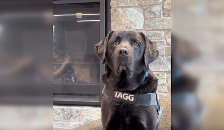 Gresham Gears Up for 4th Annual Tagg's Dog Days of Summer to Support Local K-9 Unit and Community Charities
