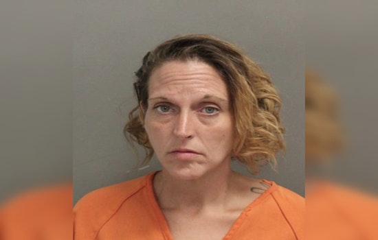 Harris County Constables Arrest Woman with Felony Warrant on FM 1960 Road