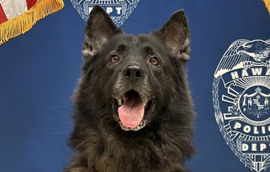 Hawai'i Police Officer Under Investigation After K-9 Dies in Patrol Car