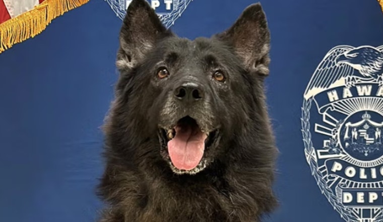Hawai'i Police Officer Under Investigation After K-9 Dies in Patrol Car