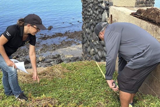 Hawaii Surveyors Accelerate Lahaina's Rebuilding Efforts Post-Wildfire Destruction