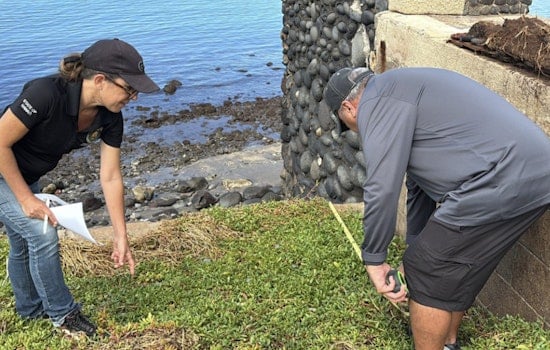 Hawaii Surveyors Accelerate Lahaina's Rebuilding Efforts Post-Wildfire Destruction