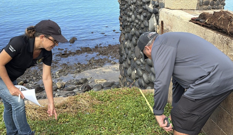 Hawaii Surveyors Accelerate Lahaina's Rebuilding Efforts Post-Wildfire Destruction
