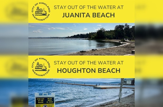 Health Advisory, Swim Ban at Houghton and Juanita Beaches in Bay Area Amid Elevated Bacteria Levels