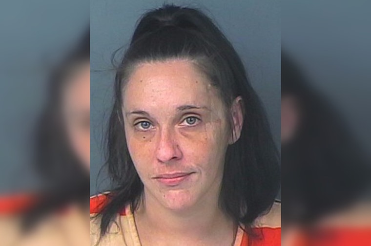 Hernando County Sheriff's Office Seeks Public's Help in Locating Suspected Felon Joslyn A. Schicchi