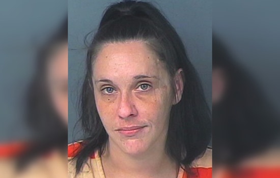 Hernando County Sheriff's Office Seeks Public's Help in Locating Suspected Felon Joslyn A. Schicchi