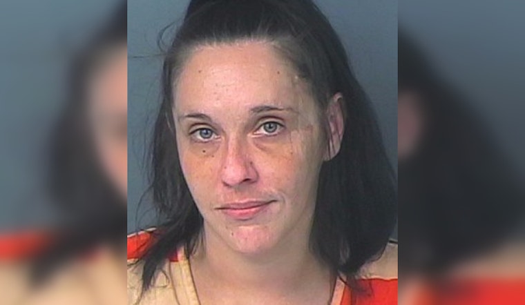 Hernando County Sheriff's Office Seeks Public's Help in Locating Suspected Felon Joslyn A. Schicchi
