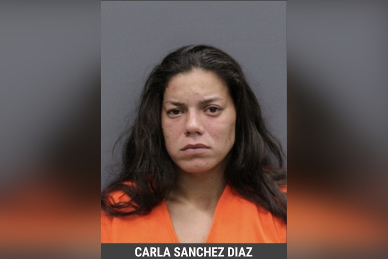 Hillsborough Woman Faces Charges of Child Neglect and Aggravated Animal Cruelty After Emaciated Dogs Found