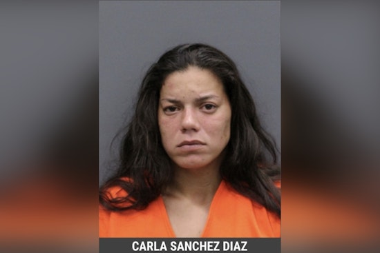 Hillsborough Woman Faces Charges of Child Neglect and Aggravated Animal Cruelty After Emaciated Dogs Found