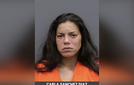 Hillsborough Woman Faces Charges of Child Neglect and Aggravated Animal Cruelty After Emaciated Dogs Found