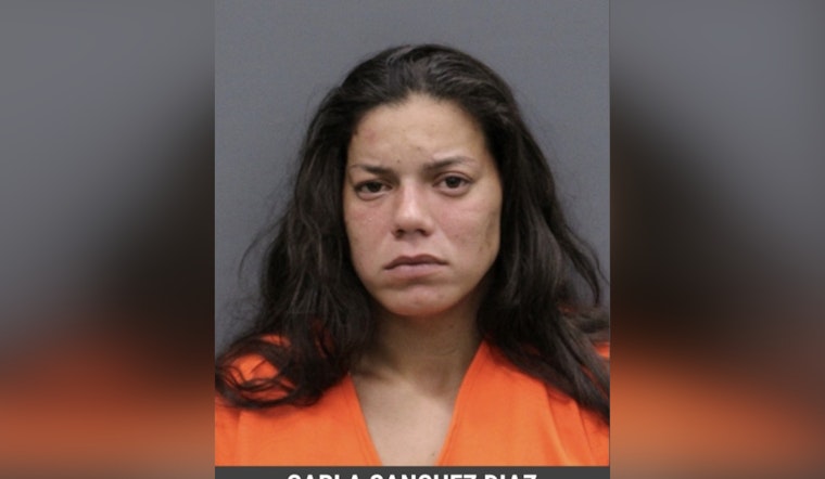 Hillsborough Woman Faces Charges of Child Neglect and Aggravated Animal Cruelty After Emaciated Dogs Found