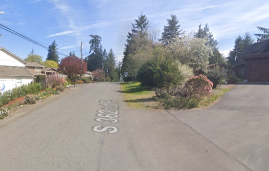 Homeowner Shoots Suspected Intruder in South King County, No Immediate Danger to Public