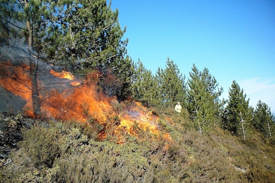 Honolulu Firefighters Achieve 90% Containment of Waianae Brush Fire