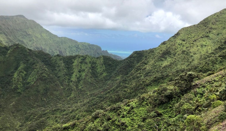 Honolulu Residents Invited to Shape Future of Moanalua Forest Reserve at Community Meeting