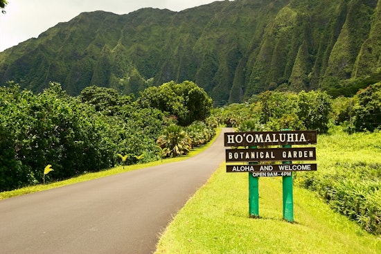 Honolulu's Hoomaluhia Botanical Garden Plans Weekly Closures for Maintenance, Public to Vote on Preferred Day
