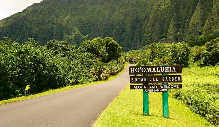 Honolulu's Hoomaluhia Botanical Garden Plans Weekly Closures for Maintenance, Public to Vote on Preferred Day