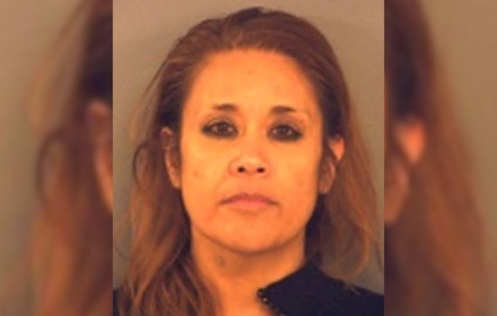 Horizon City Traffic Stop Leads to Arrest of Suspect with Felony Warrants on Drug Charges
