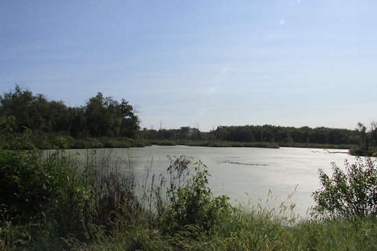 Houston Cosmetic Firm Charged with Felony for Allegedly Dumping Lotion into White Oak Bayou