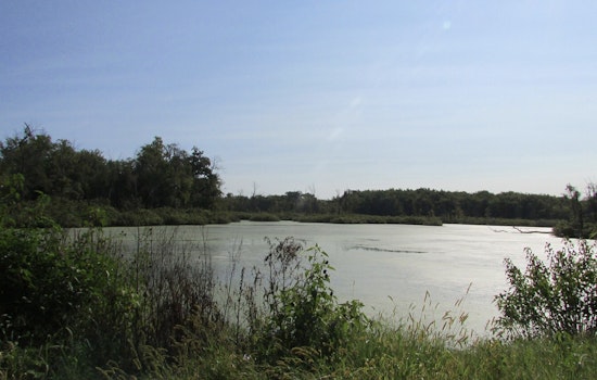 Houston Cosmetic Firm Charged with Felony for Allegedly Dumping Lotion into White Oak Bayou