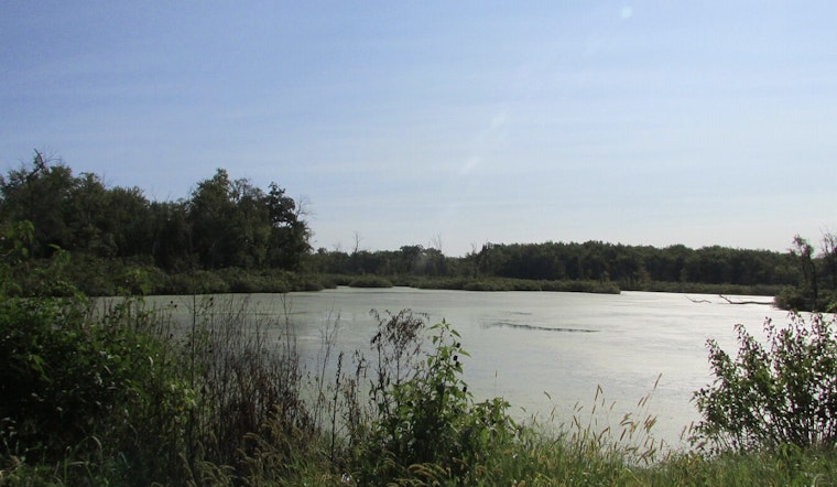 Houston Cosmetic Firm Charged with Felony for Allegedly Dumping Lotion into White Oak Bayou