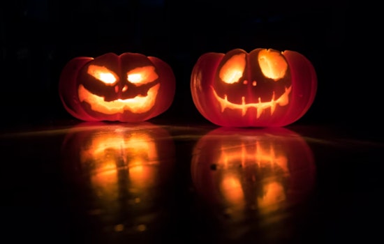 Houston Homeowner's Provocative Halloween Display Sparks Immigration Debate and First Amendment Discussions