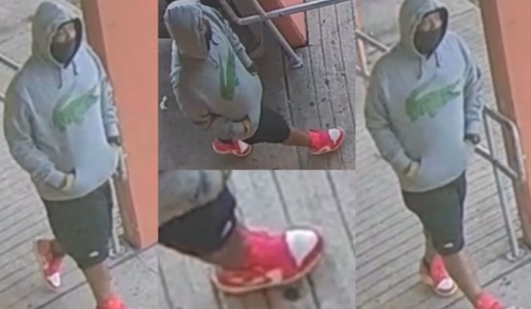 Houston Police Seek Help to Identify Suspects in West Houston Nail Salon Armed Robbery