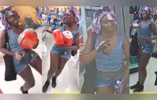 Houston Police Seek Public's Help Identifying Suspect Accused of Robbery and Assault on South Braeswood Blvd
