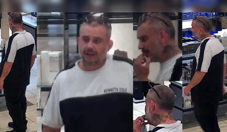 Houston Police Seek Public's Help to Identify Suspect in Department Store Robbery and Assault