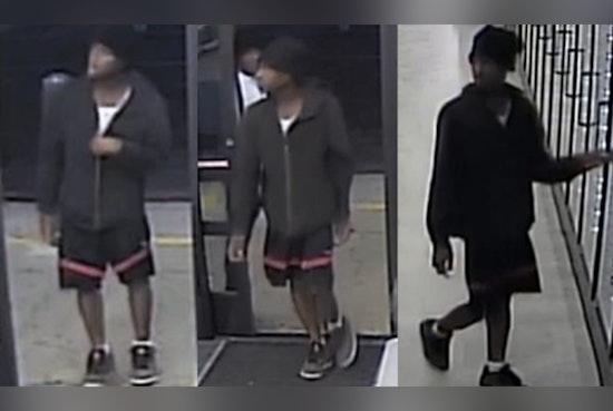 Houston Police Seek Public's Help to Identify Suspects in Armed Robbery at Local Drug Store