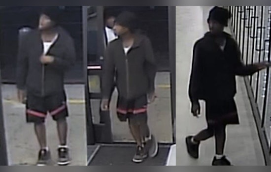 Houston Police Seek Public's Help to Identify Suspects in Armed Robbery at Local Drug Store