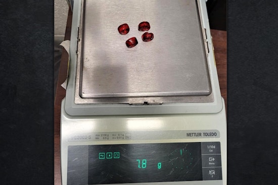 ICE Cracks Down on Child Smugglers: El Paso Ring Accused of Drugging Kids with THC Candy for Compliance