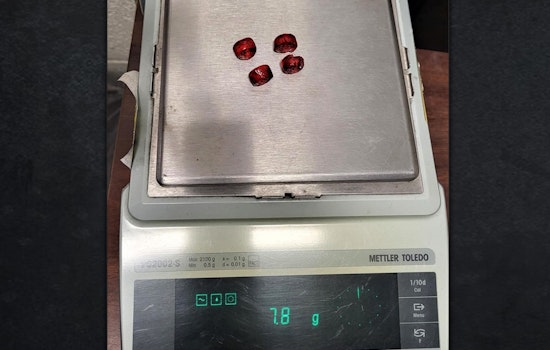 ICE Cracks Down on Child Smugglers: El Paso Ring Accused of Drugging Kids with THC Candy for Compliance