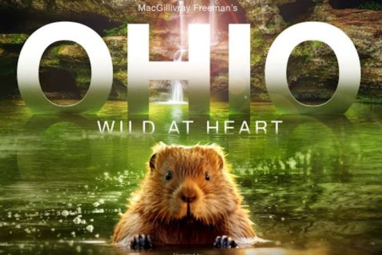 IMAX Film "Ohio: Wild at Heart" to Showcase State's Majestic Landscapes and Conservation Triumphs