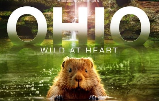 IMAX Film "Ohio: Wild at Heart" to Showcase State's Majestic Landscapes and Conservation Triumphs