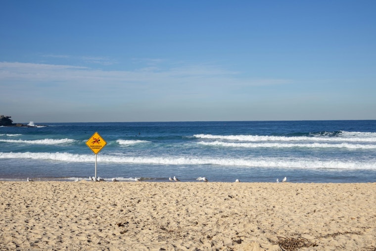 Jacksonville Area Faces Coastal Flood Advisory as High Rip Current Risks Prompt Official Cautions